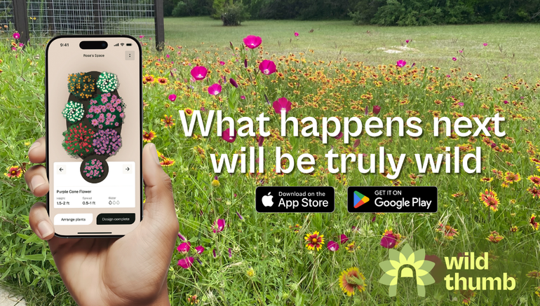 Story #3: Wild Thumb: Inspiring Tens of Thousands of Texans! 