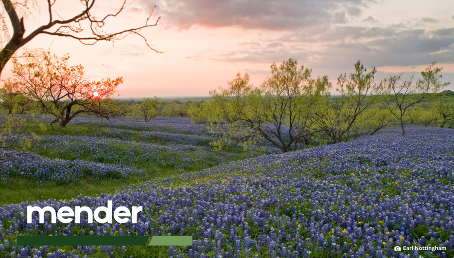 Story #4: TPWF Corporate Partner Spotlight: Mender 