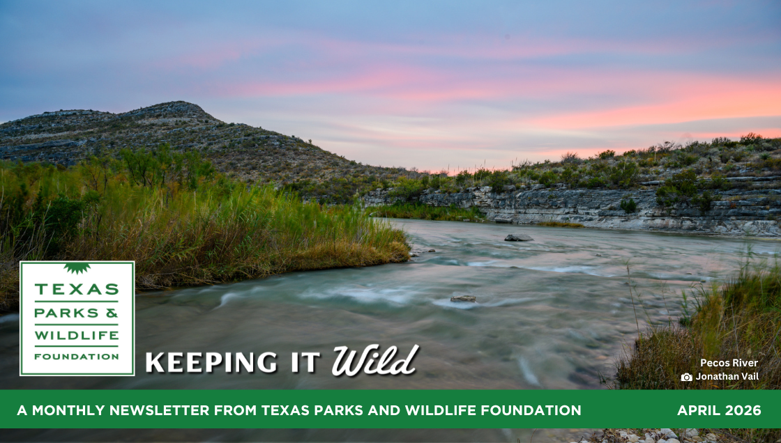 Words From The Wild June 2026