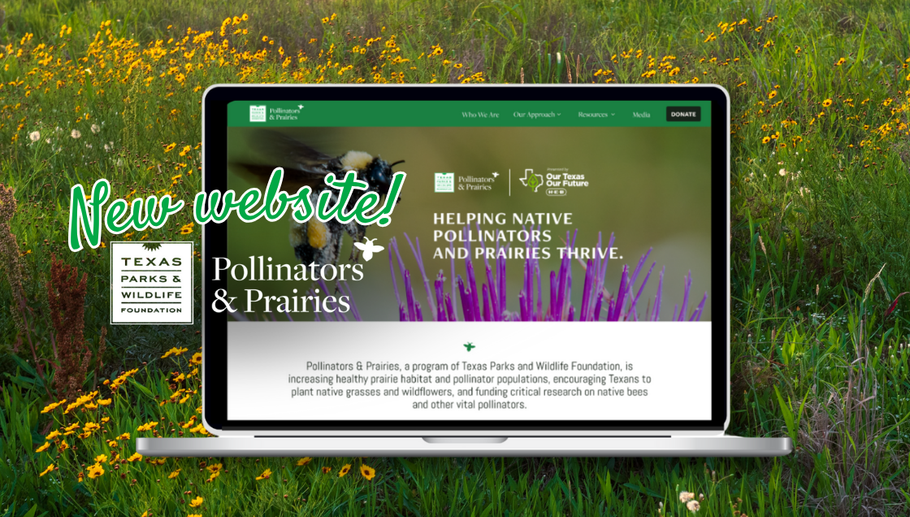 Story #4: Pollinators & Prairies Website Offers New Resources for Texans