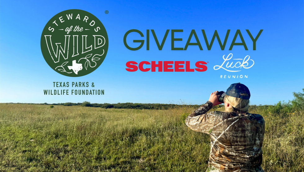 Story #5: Join Stewards of the Wild for a Chance to Win