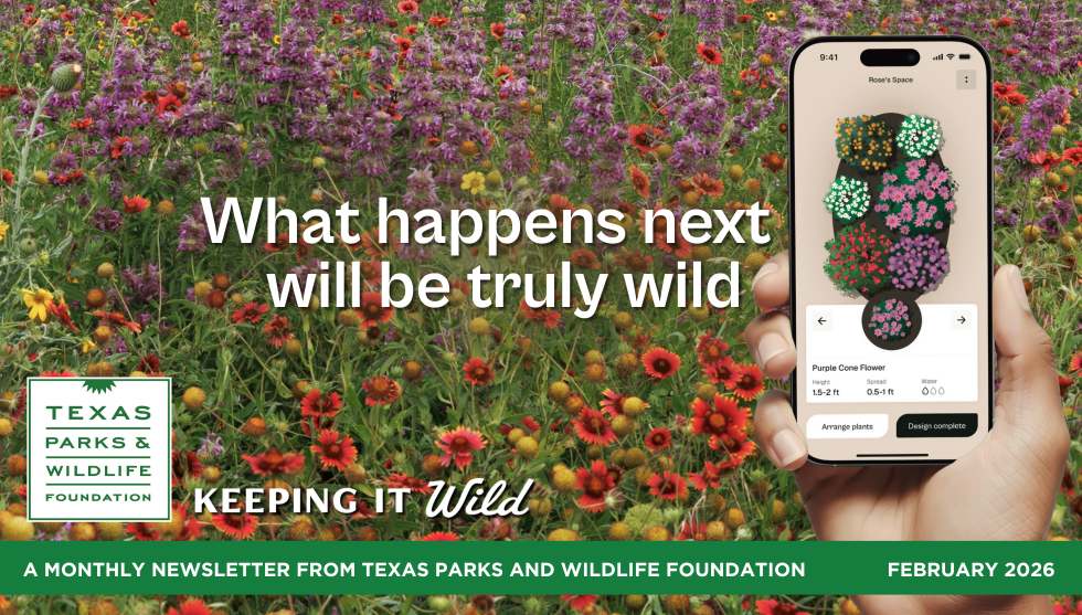 Words From The Wild April 2026