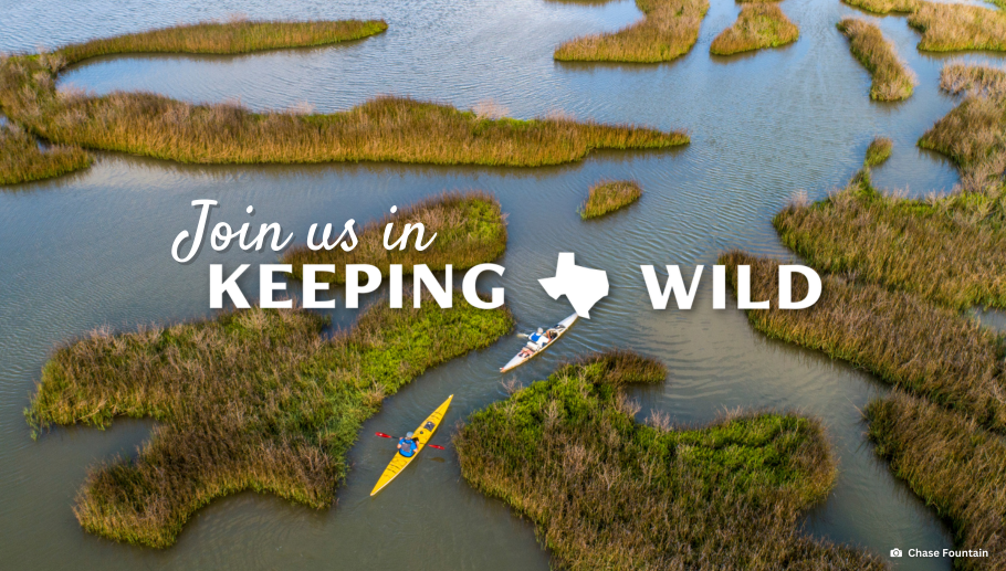 Story #5: Become a TPWF Member Today and Help Keep Texas Wild