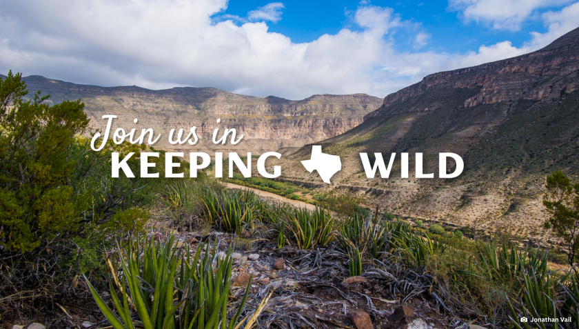 Story #4: Join TPWF and help keep Texas wild!