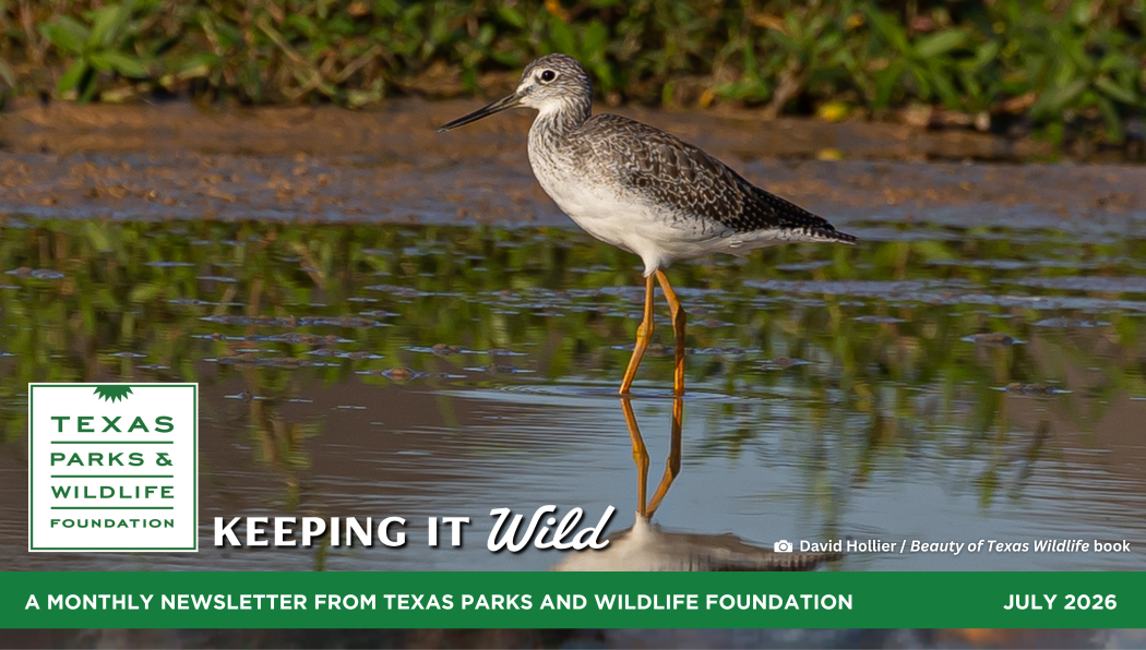 Words From The Wild July 2026