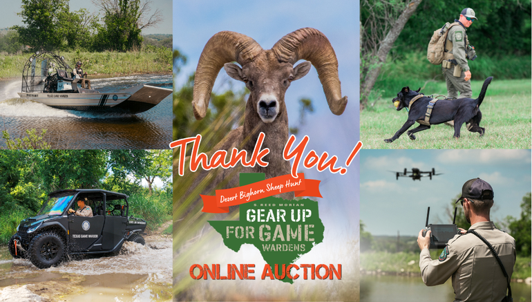 Story #2: Auction Pledges Big Support for Bighorns & Game Wardens