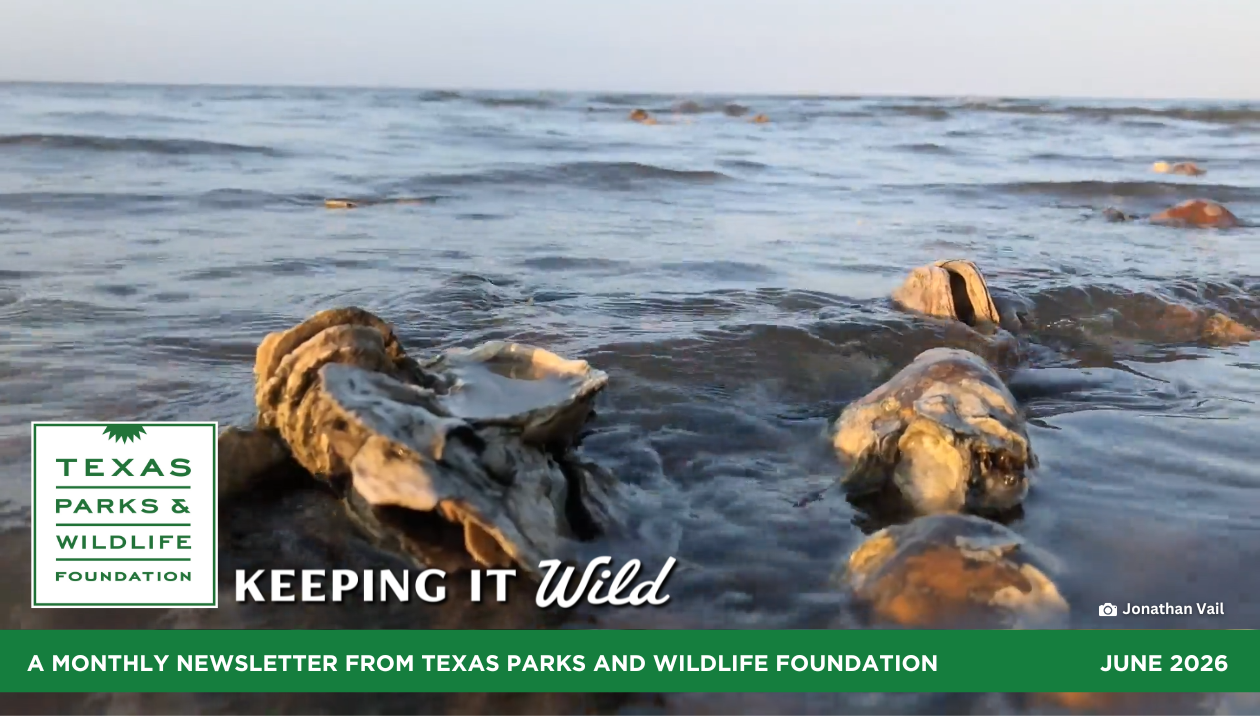 Words From The Wild June 2026
