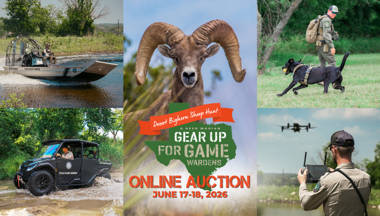 Story #2: Gear Up for the Desert Bighorn Sheep Hunt Auction