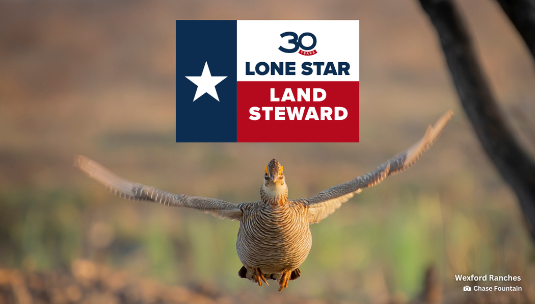 Story #5: Honoring the 2026 Texas Leopold Conservation Award Winner