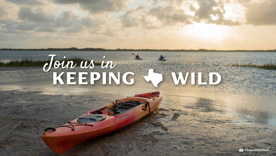 Story #5: Join TPWF and help keep Texas wild!