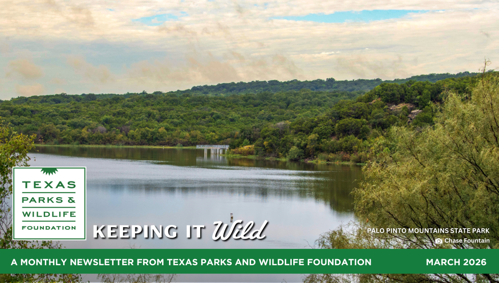 Words From The Wild April 2026