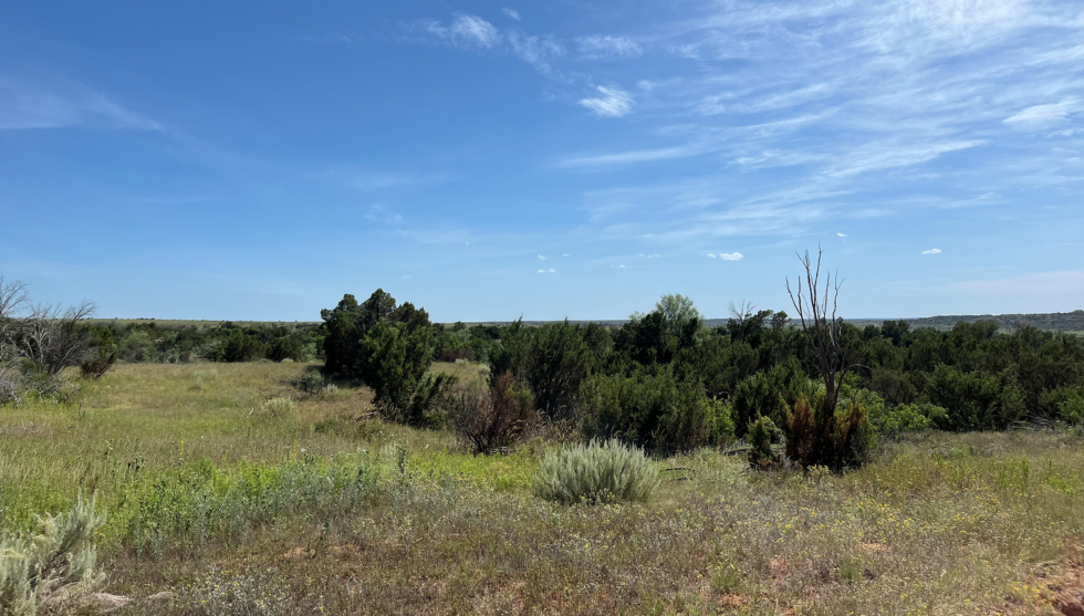 Story #2: Matador WMA: Fall Habitat Work Seeds Spring Growth