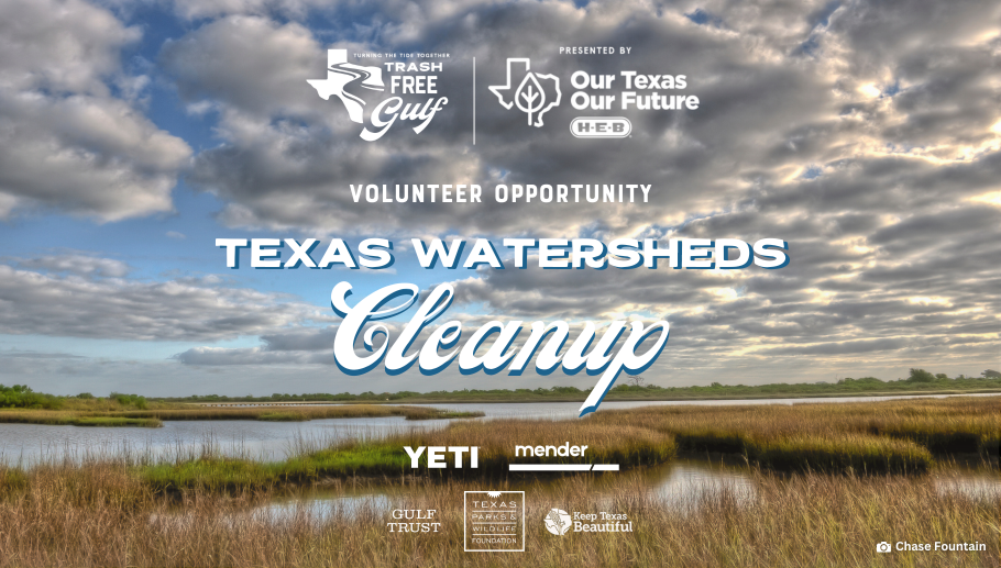 Story #4: Texans Wanted: Join the Trash Free Gulf Campaign