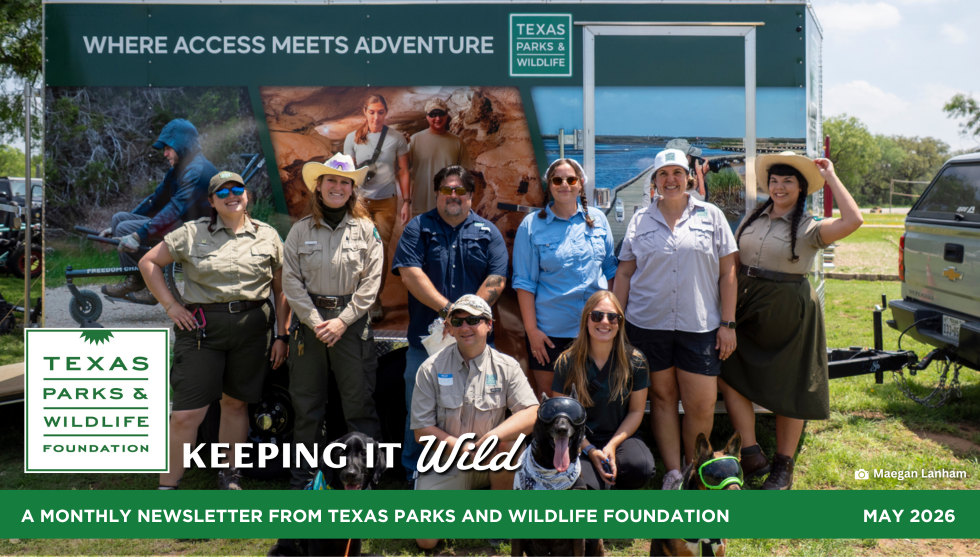 Words From The Wild June 2026
