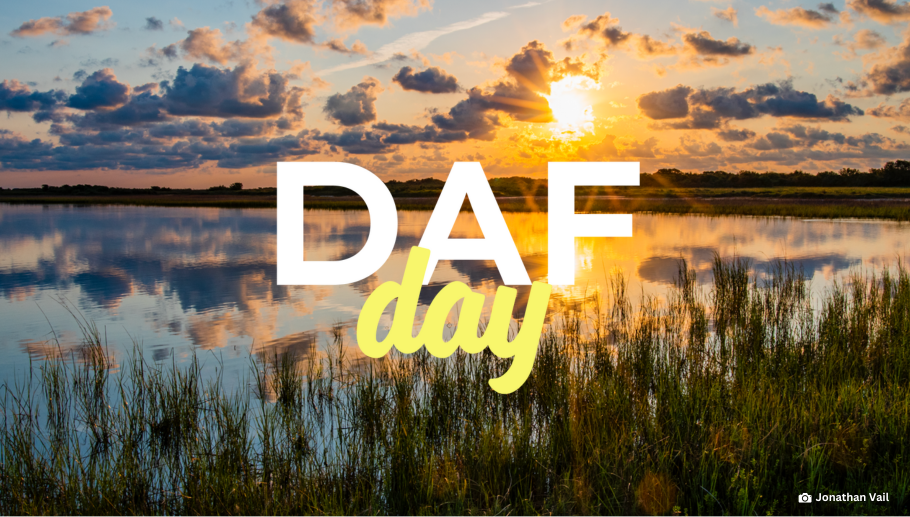 Story #5: Have a DAF? Give a Gift!