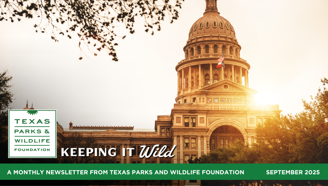 Words From The Wild November 2025