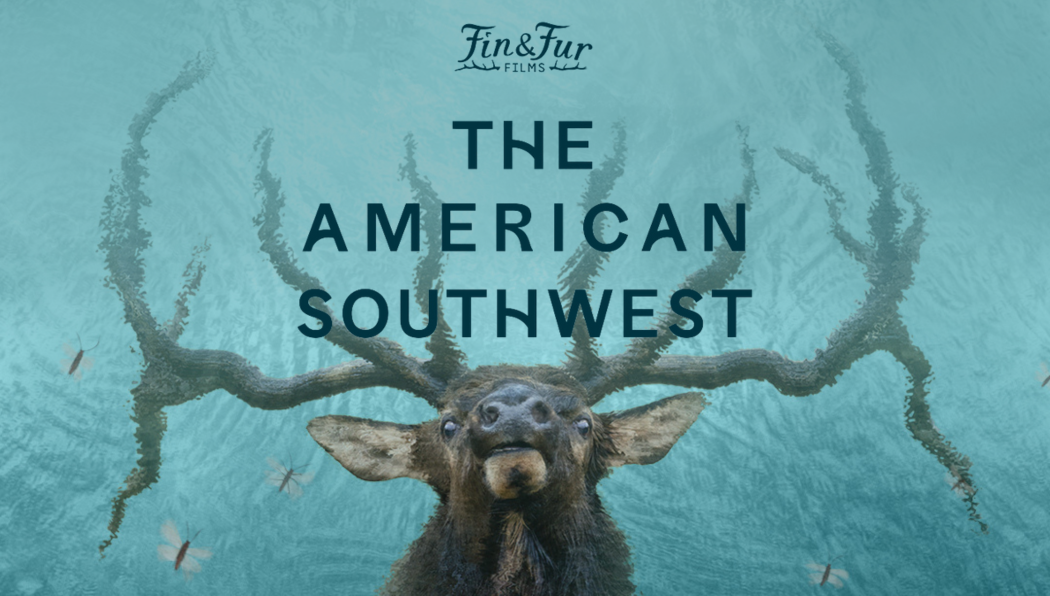 Story #3: Experience the Wild Beauty of The American Southwest