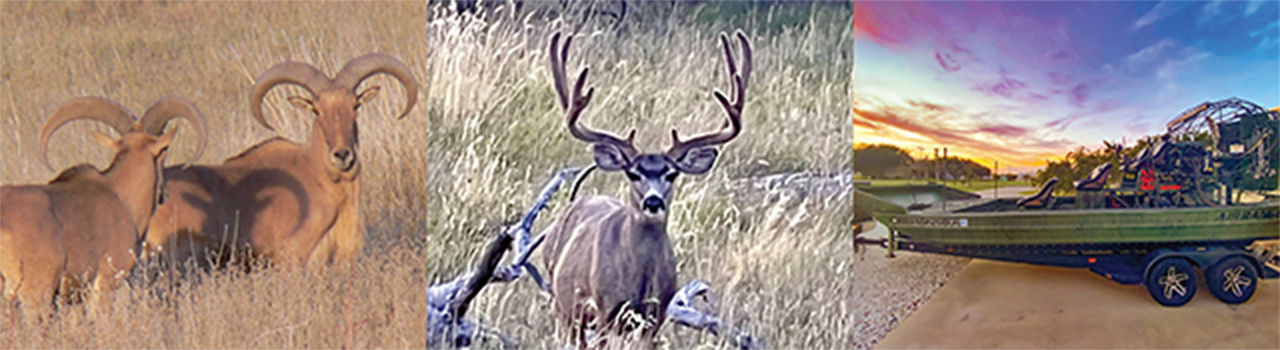 Gear Up Auction Experiences