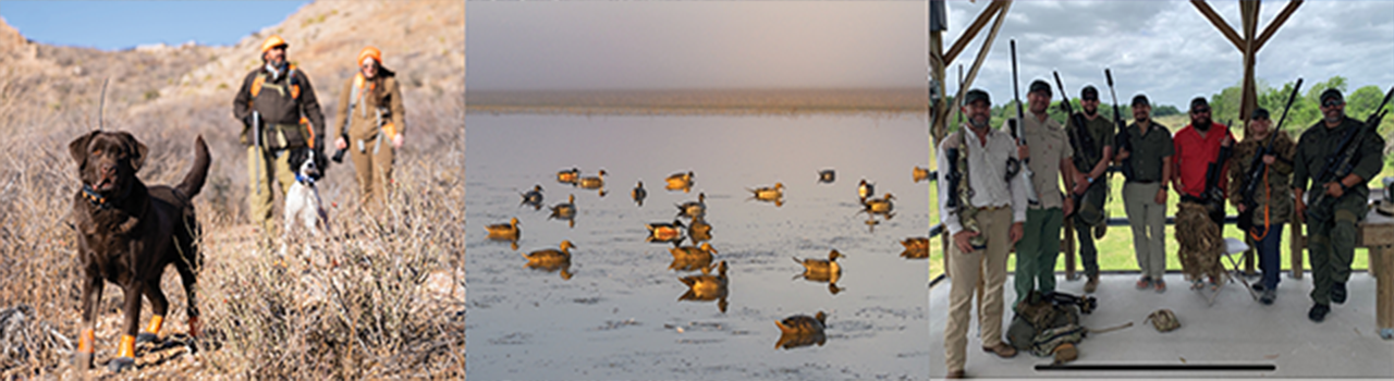 Gear Up Auction Experiences