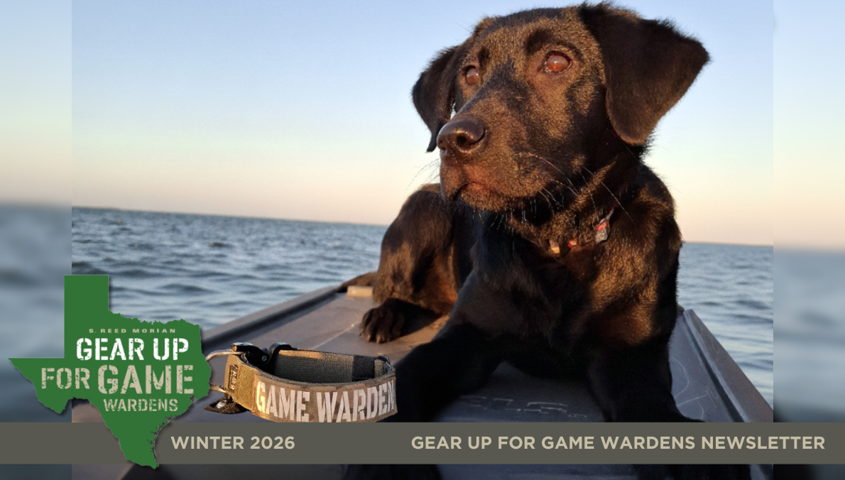 From Pup to Partner: The Rigorous Road to Service for K-9s February 2026