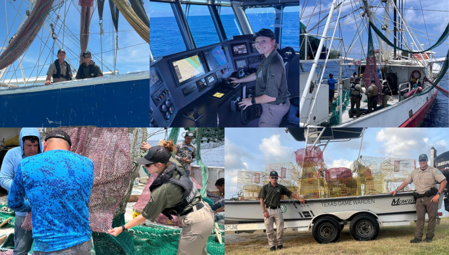 Story #4: CCA Continues its Support of Coastal Interns