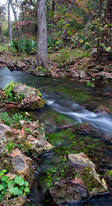 Pristine Watershed Protected with Honey Creek Land Acquisition