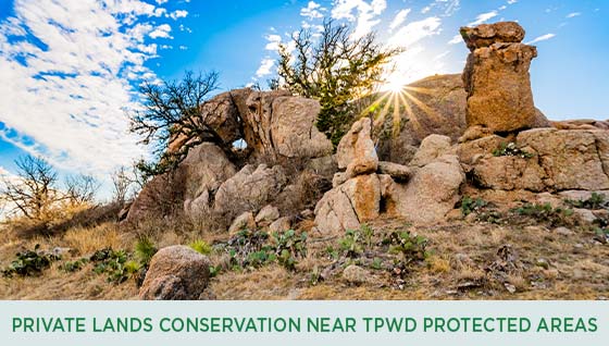 Story #3: Private Lands Conservation Near TPWD Protected Areas