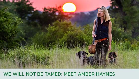 Story #2: We Will Not Be Tamed: Meet Amber Haynes