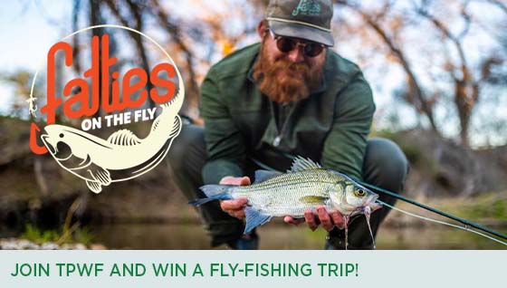 Story #3: Join TPWF and Win a Fly-Fishing Trip!