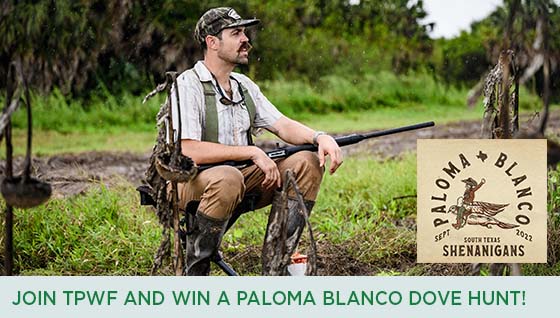 Story #4: Join TPWF and Win a Paloma Blanco Dove Hunt!