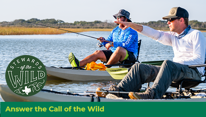 Story #4: Answer the Call of the Wild