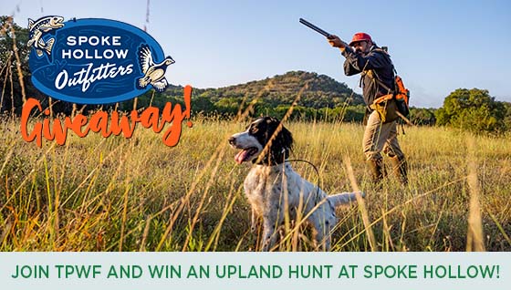Story #4: Join TPWF and WIN an Upland Hunt at Spoke Hollow!