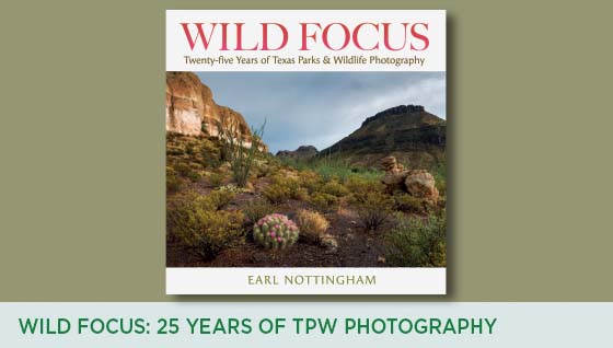 Story #5: Wild Focus: 25 Years of TPW Photography