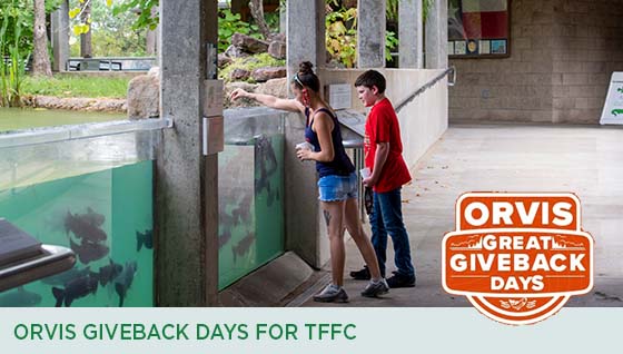Story #6: Orvis Give Back Days for TFFC