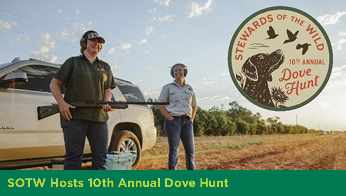 Story #7: Stewards of the Wild Hosts 10th Annual Dove Hunt