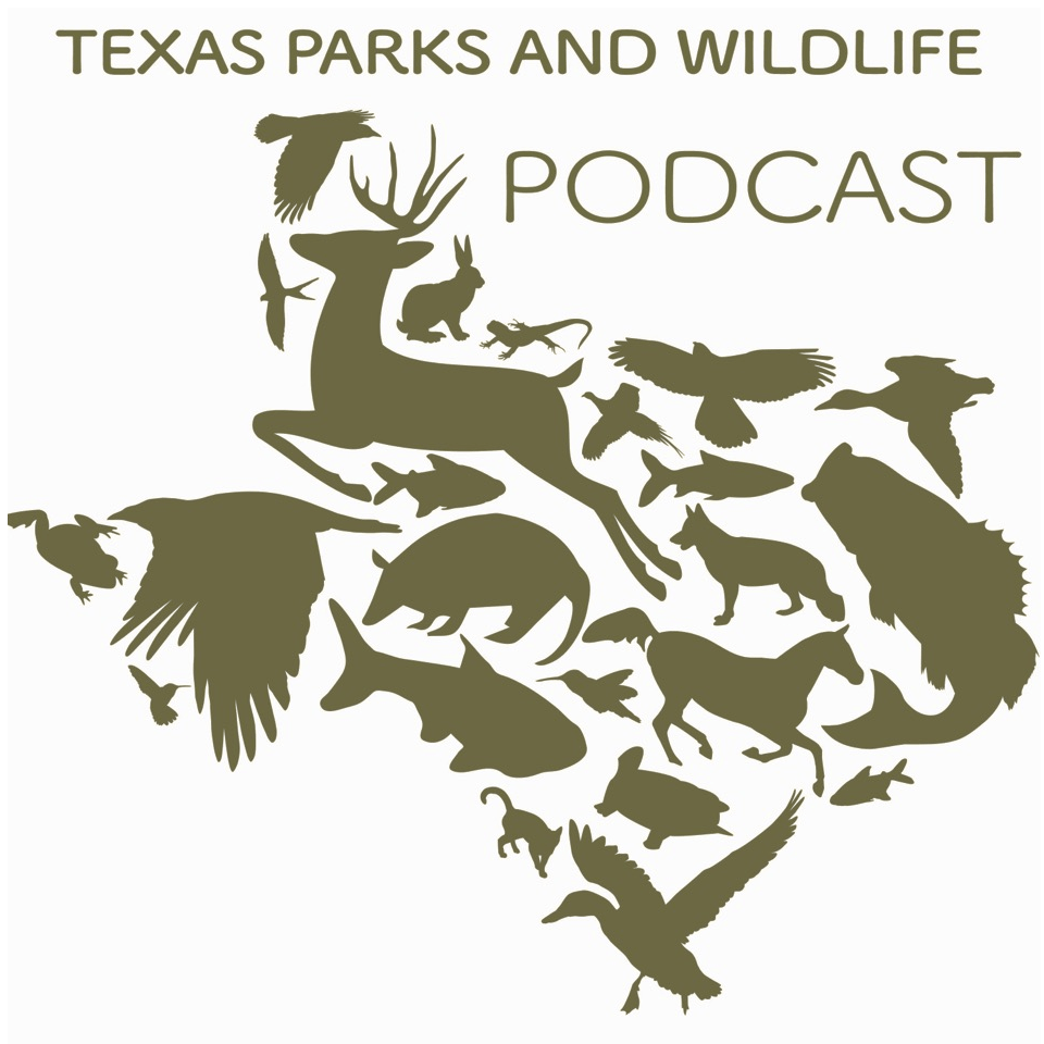 TPWF Podcast Logo